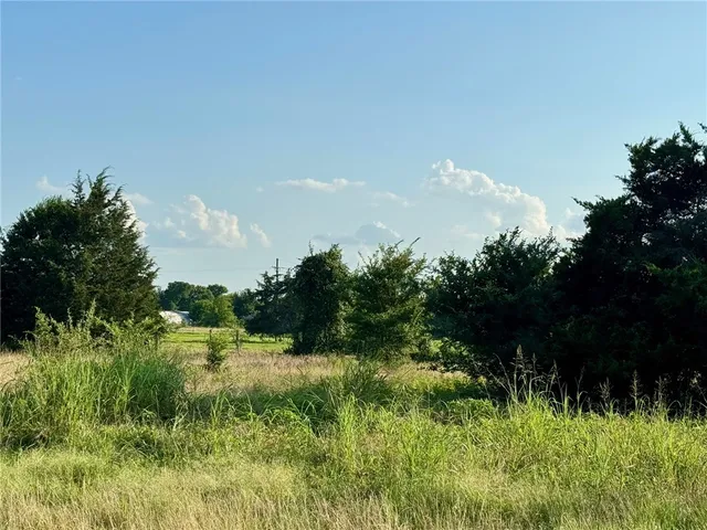 a view of a lush green space