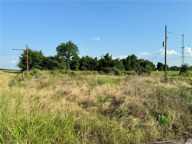 a view of a field with a tree in the background