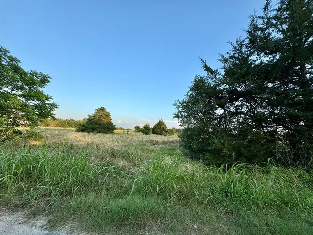 a view of a lush green space