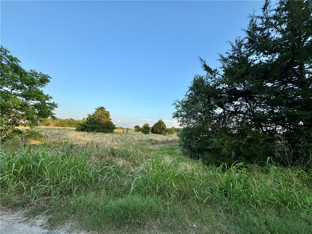 6 And Cooper Lane Calvert, TX 77837 - Photo 5 of 19