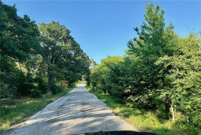 a view of a pathway of a park