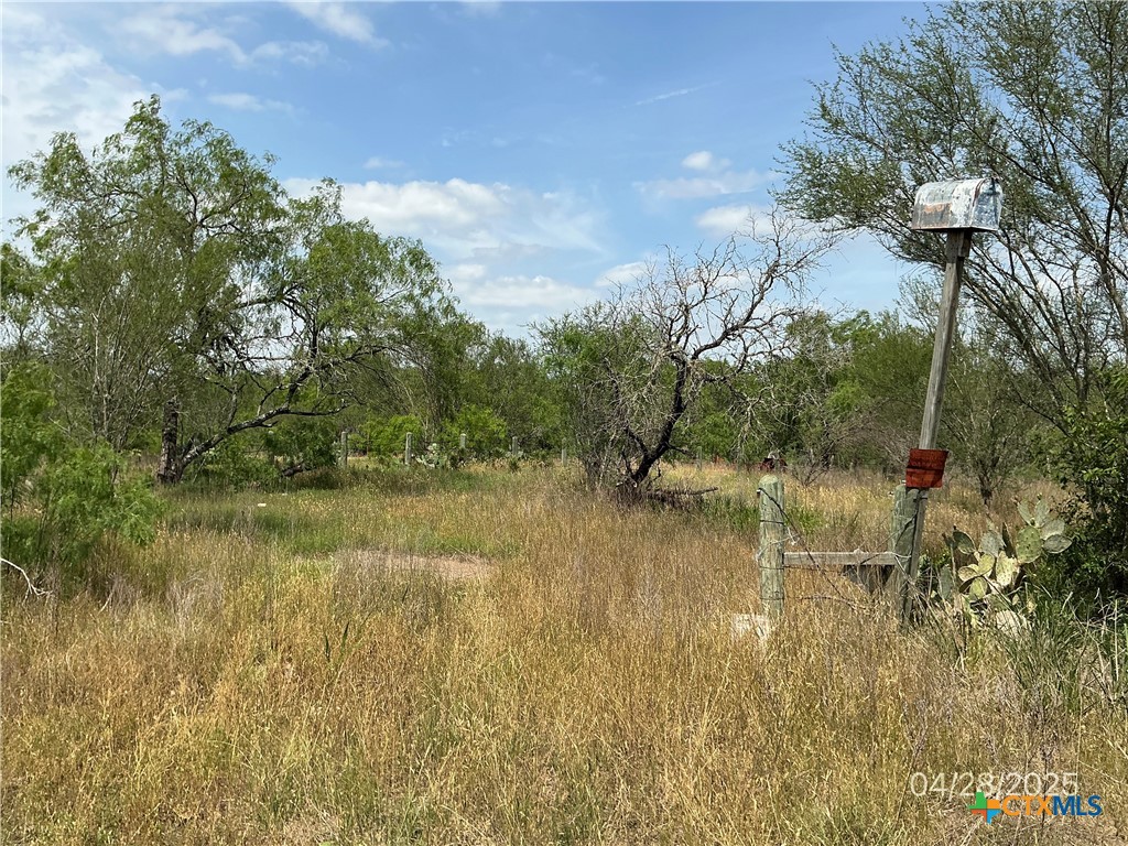 1066 Robertson Road Smiley, TX 78159 - Photo 3 of 6 a view of a lake view