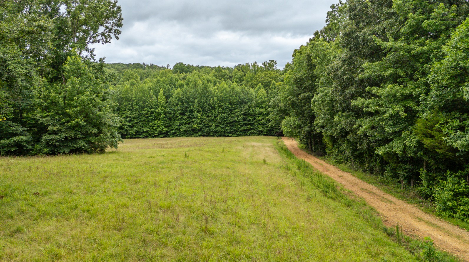 0 Barkley Road Cypress Inn, TN 38452 - Photo 13 of 14