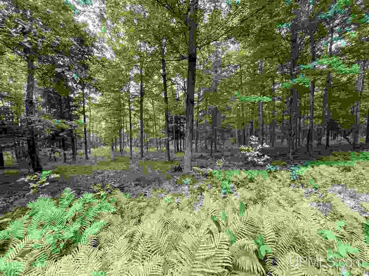 Tbd Sand Road, Unit 2 Powers, MI 49874 - Photo 18 of 38