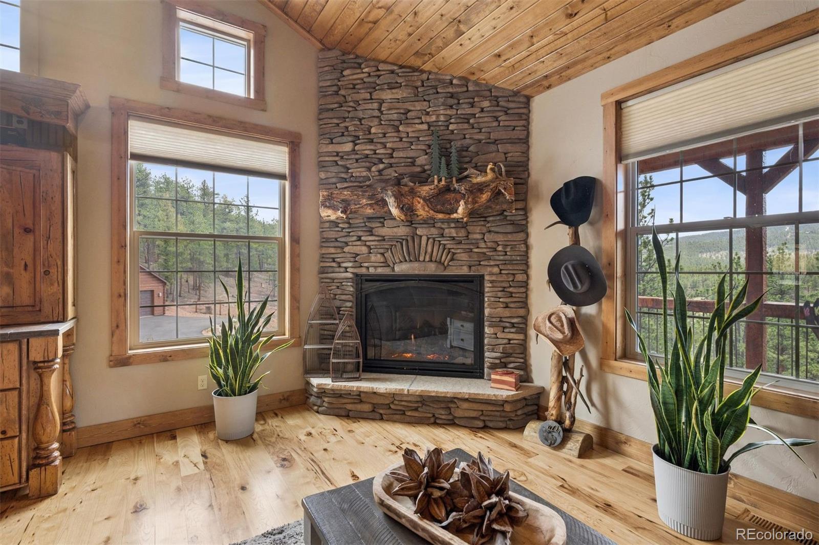 2894 County Road 43 Bailey, CO 80421 - Photo 9 of 40 a living room with furniture and a fireplace