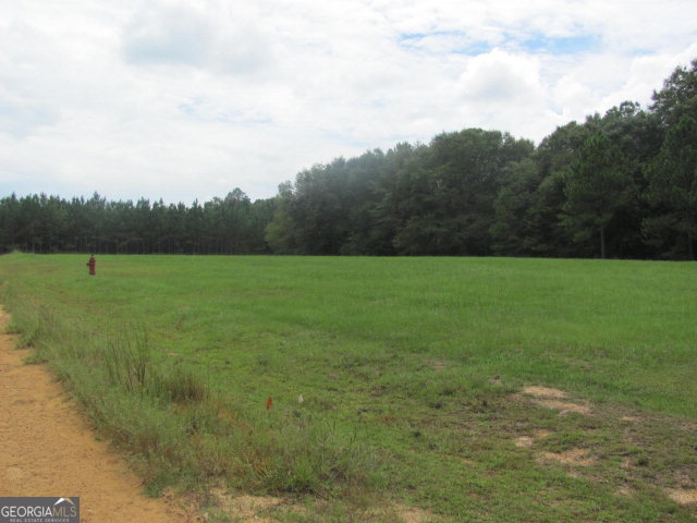 0 Yawn Estate Road Hazlehurst, GA 31539 - Photo 1 of 1 Main View