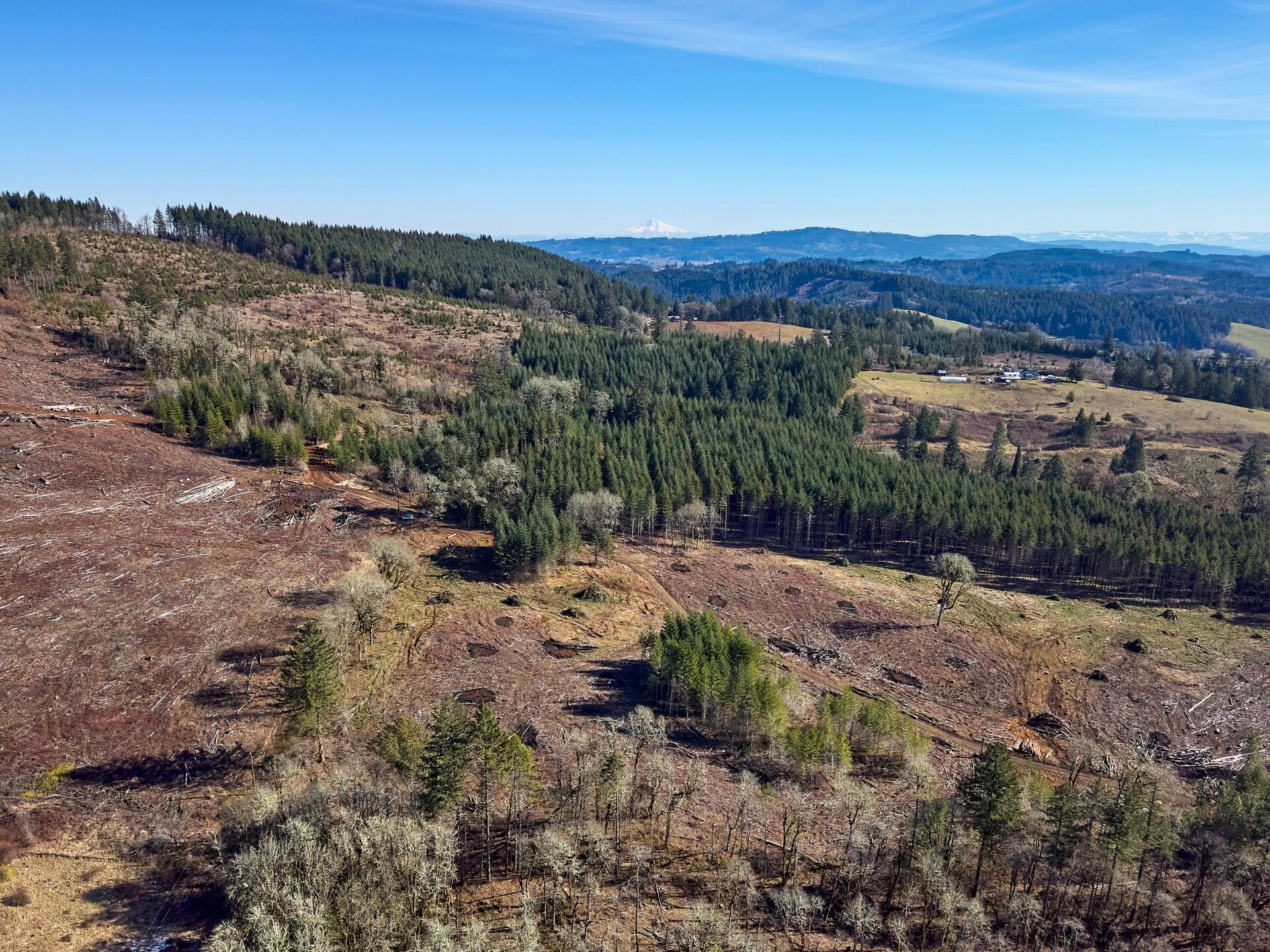 12610 Northwest Ford Road Gaston, OR 97119 - Photo 3 of 31 260_12610_Ford_1_web