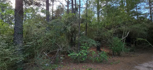 $165,000 | 0 Fisher Drive, Tomball, TX 77377