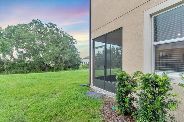 a view of a backyard with potted plants