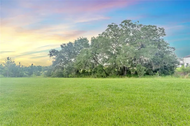 a view of a grassy field with trees in the background