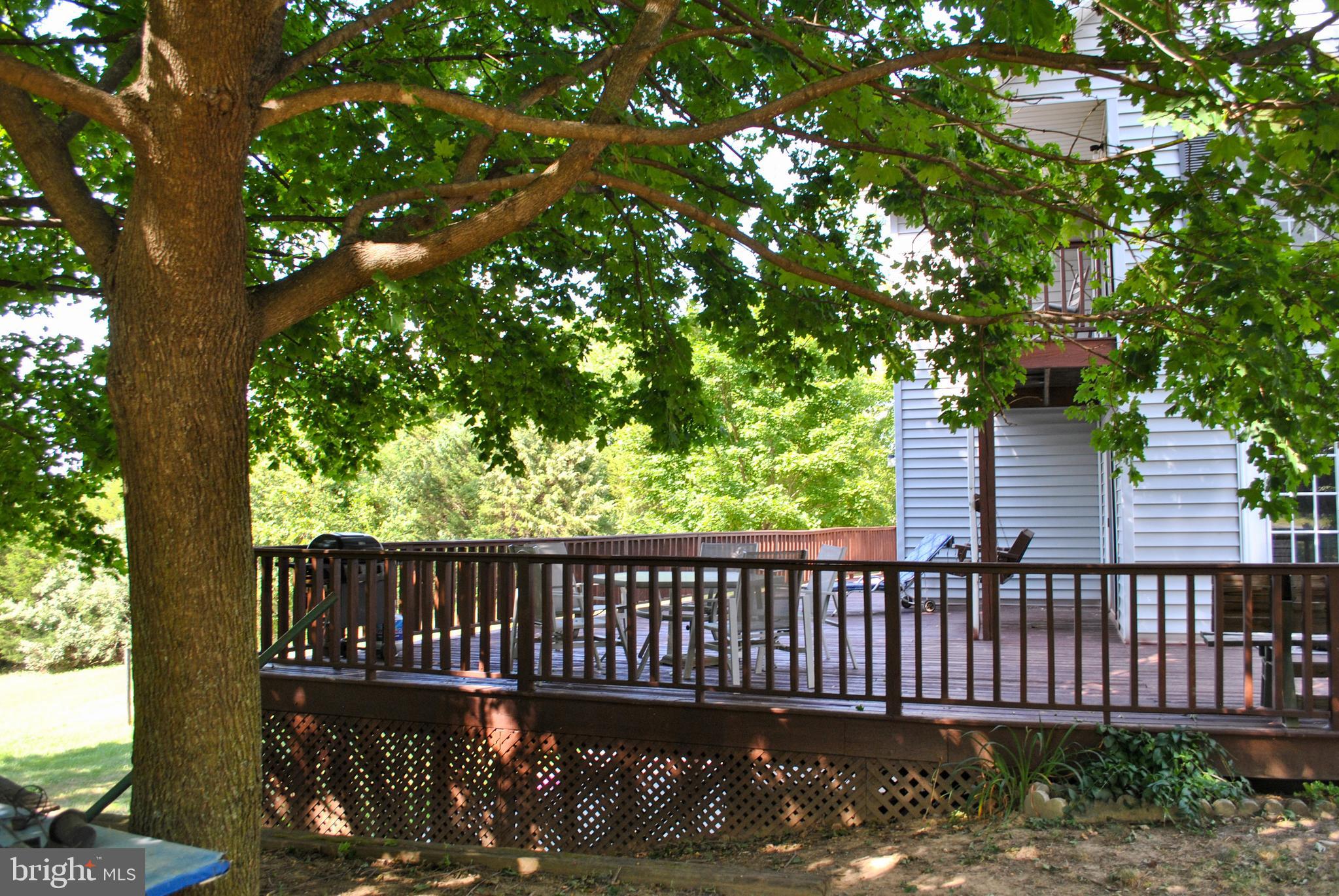 123 Minebank Road Middletown, VA 22645 - Photo 19 of 78 Gallery Image 19