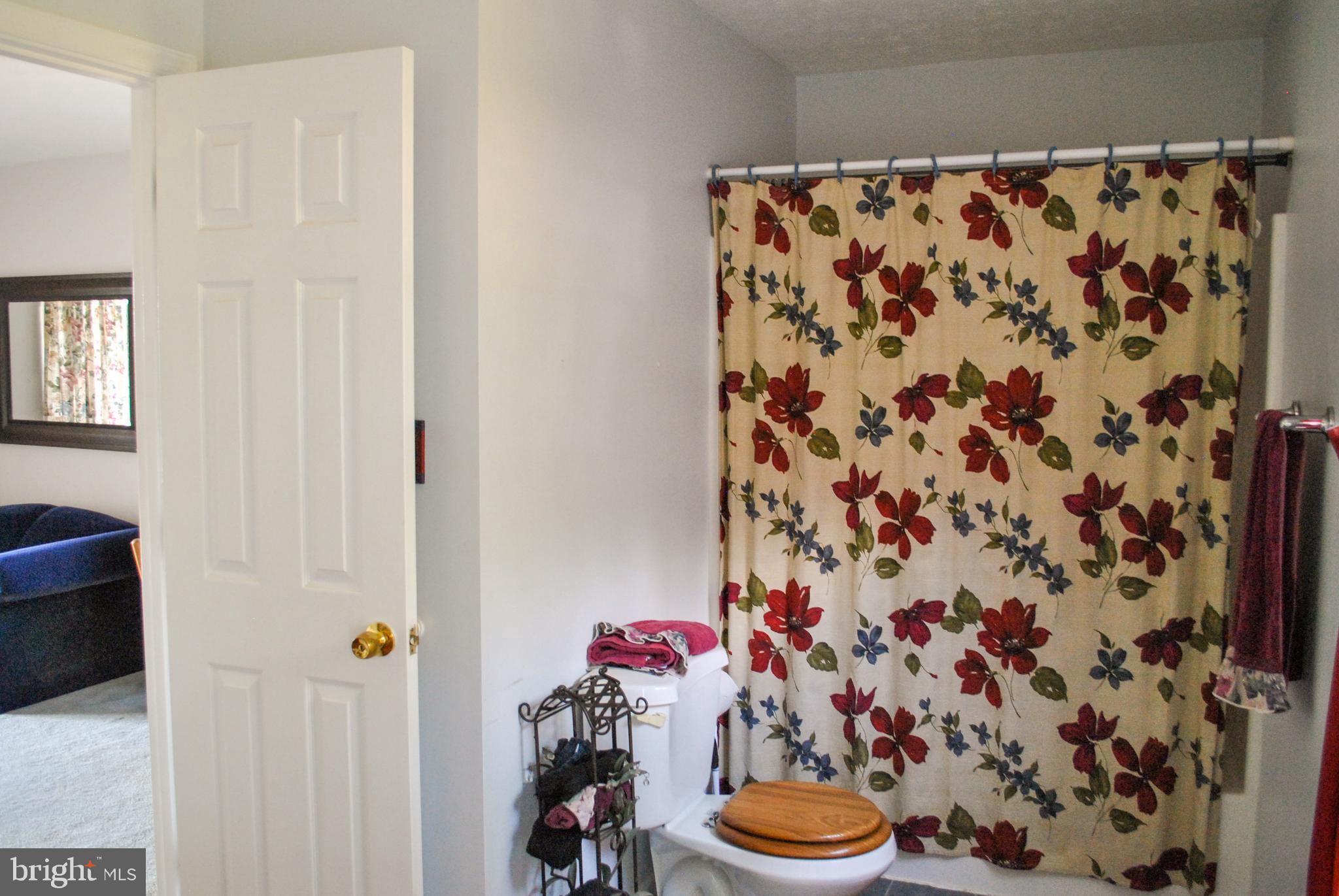 123 Minebank Road Middletown, VA 22645 - Photo 49 of 78 Gallery Image 49