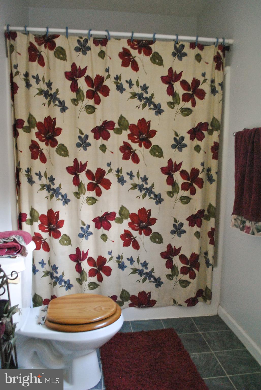 123 Minebank Road Middletown, VA 22645 - Photo 50 of 78 Gallery Image 50