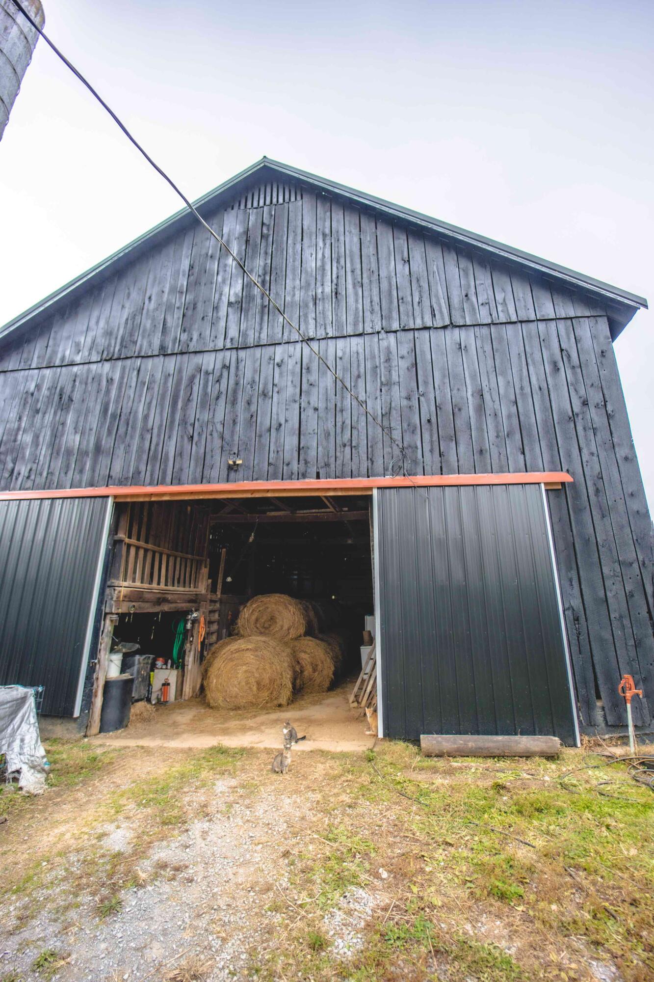 2363 Fall Lick Road Lancaster, KY 40444 - Photo 66 of 79 0S1A9120