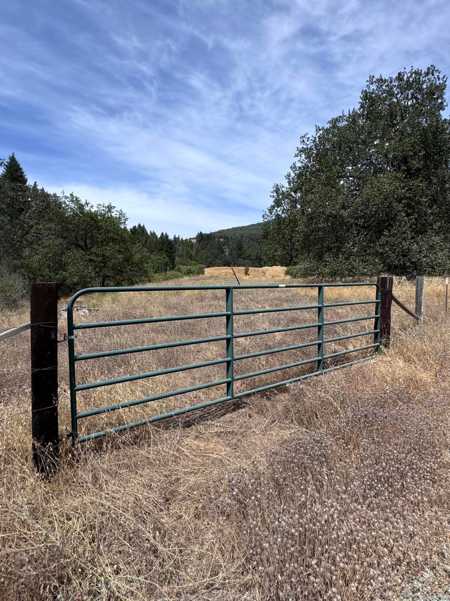 331 Lamb Road Mad River, CA 95552 - Photo 2 of 11 Gallery Image 2