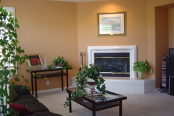 4644 Sweetgale Drive San Ramon, CA 94582 - Photo 3 of 7 a living room with furniture a potted plant and a fireplace