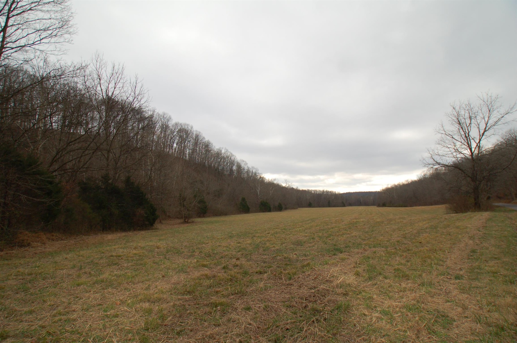 0 Smiley Hollow Road Greenbrier, TN 37073 - Photo 1 of 16 Gallery Image 1
