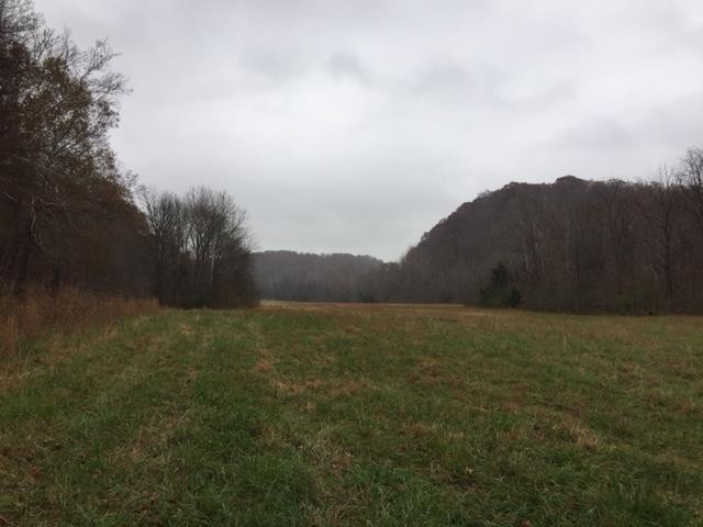 0 Smiley Hollow Road Greenbrier, TN 37073 - Photo 11 of 16 Gallery Image 11