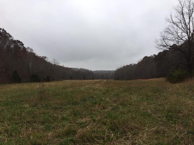 0 Smiley Hollow Road Greenbrier, TN 37073 - Photo 14 of 16 Gallery Image 14