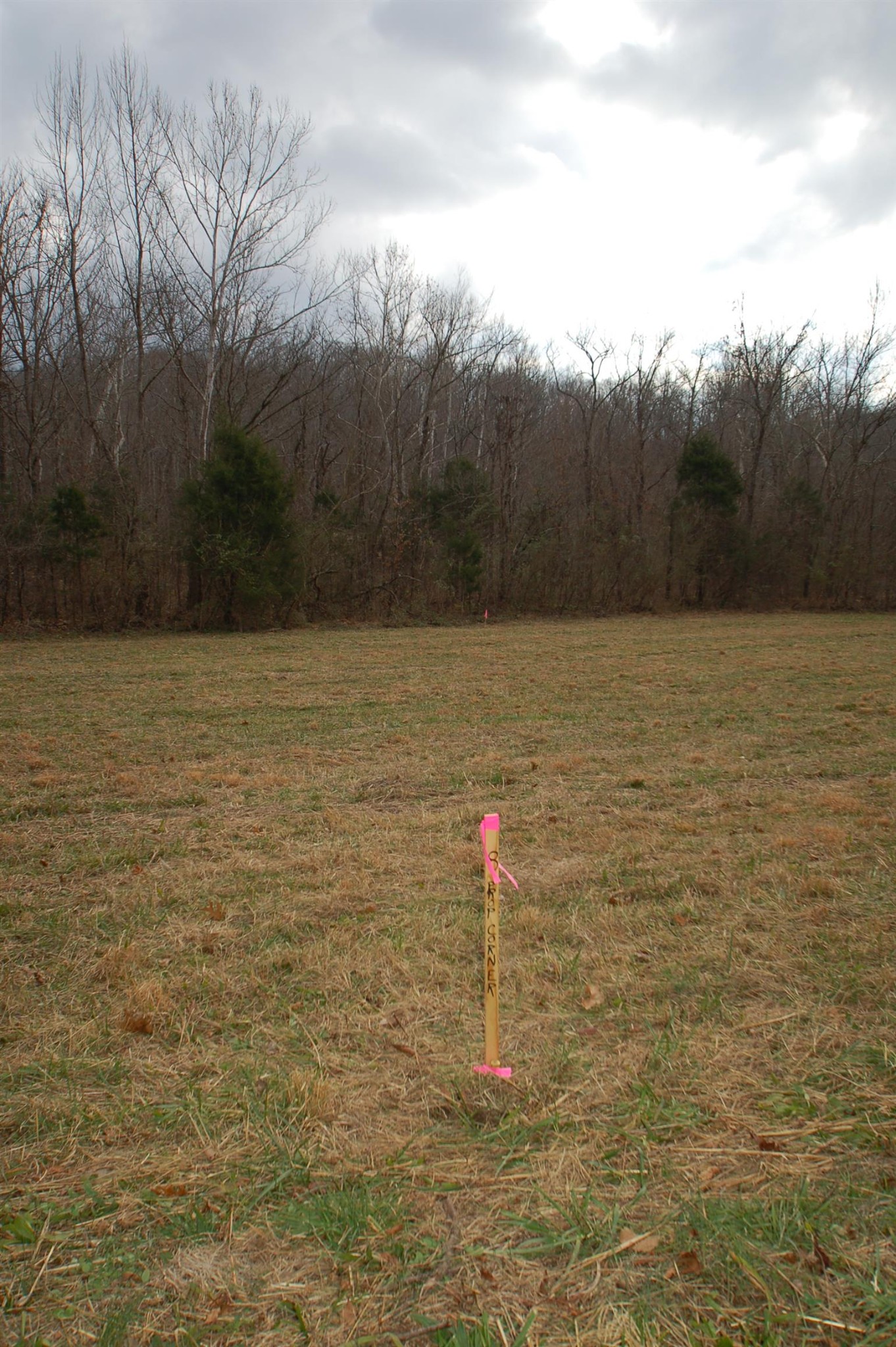 0 Smiley Hollow Road Greenbrier, TN 37073 - Photo 15 of 16 Gallery Image 15