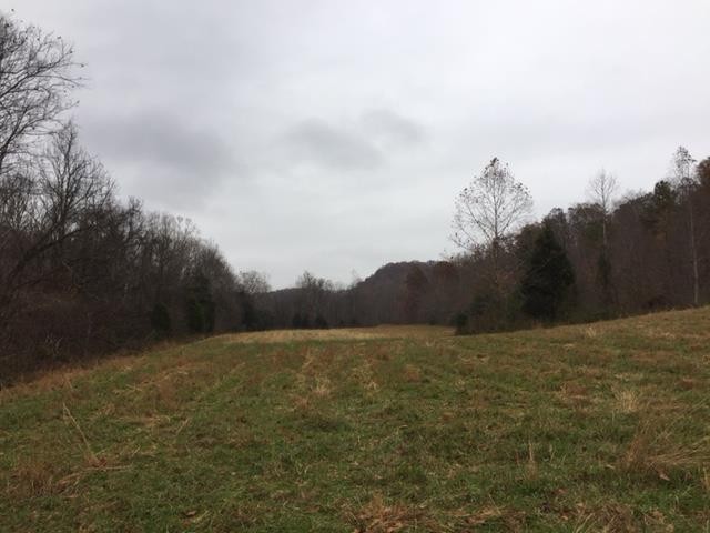 0 Smiley Hollow Road Greenbrier, TN 37073 - Photo 4 of 16 Gallery Image 4