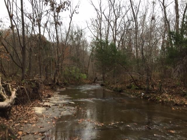 0 Smiley Hollow Road Greenbrier, TN 37073 - Photo 5 of 16 Gallery Image 5