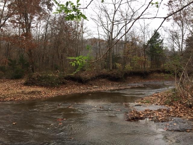 0 Smiley Hollow Road Greenbrier, TN 37073 - Photo 8 of 16 Gallery Image 8