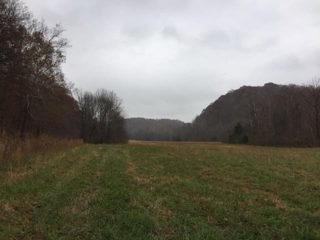 0 Smiley Hollow Road Greenbrier, TN 37073 - Photo 10 of 16 Gallery Image 10