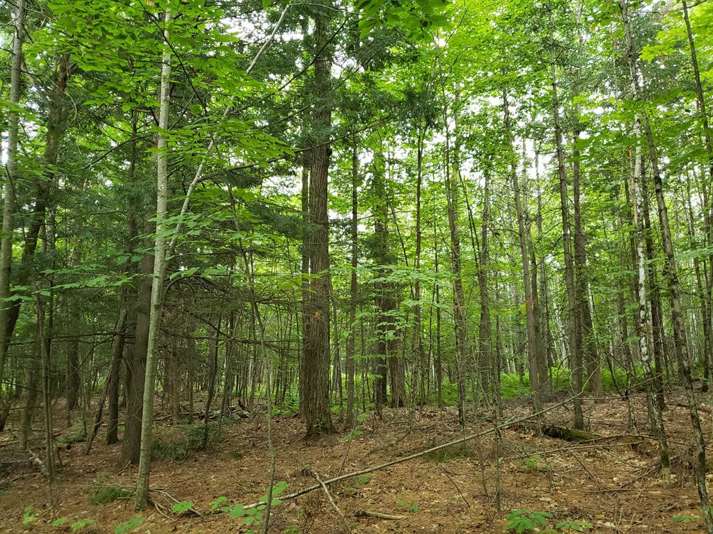 Six 6 Rod Road Fairfield, ME 04937 - Photo 3 of 9 20210801_180642
