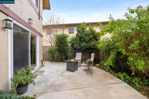 a view of backyard with outdoor seating and plants