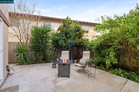 a view of backyard with outdoor seating and plants