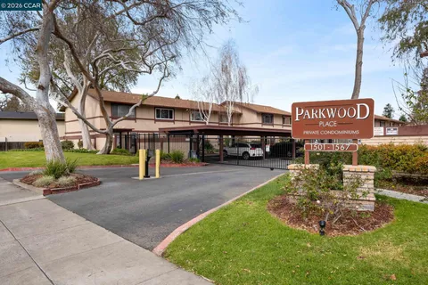 a view of a park with plants and trees