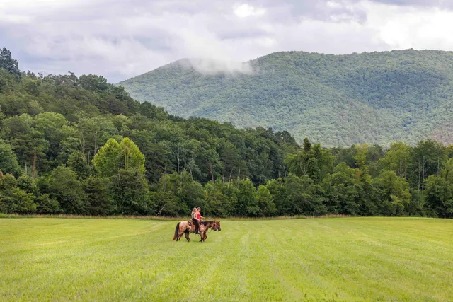 $450,000 | 41 News Road, Eagle Rock, VA 24085