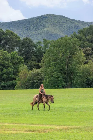 $450,000 | 41 News Road, Eagle Rock, VA 24085