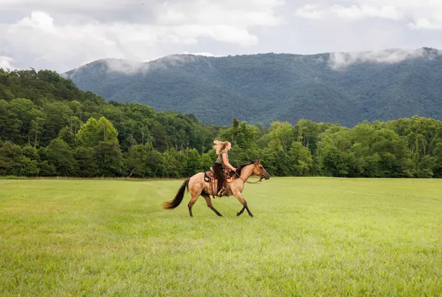 $450,000 | 41 News Road, Eagle Rock, VA 24085