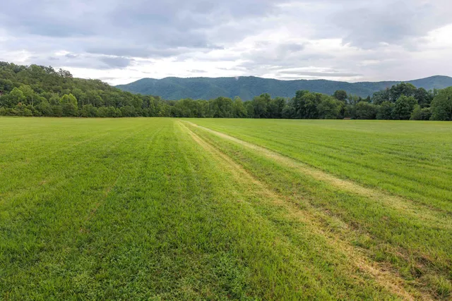 $450,000 | 41 News Road, Eagle Rock, VA 24085