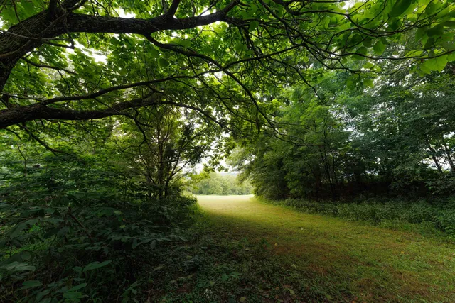 $450,000 | 41 News Road, Eagle Rock, VA 24085