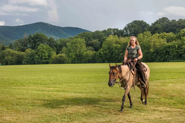 $450,000 | 41 News Road, Eagle Rock, VA 24085