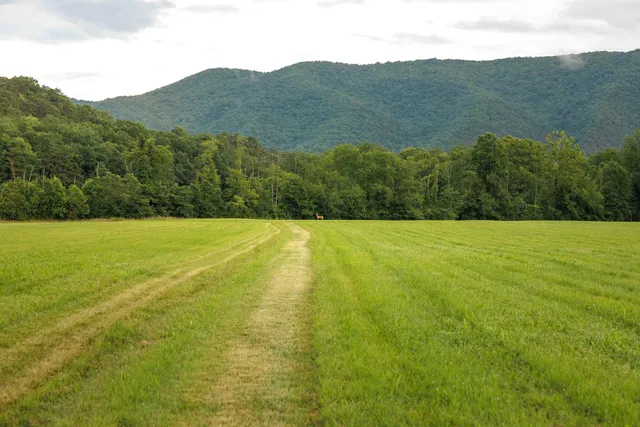 $450,000 | 41 News Road, Eagle Rock, VA 24085