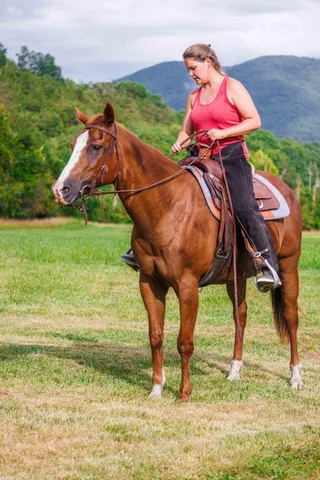 $450,000 | 41 News Road, Eagle Rock, VA 24085