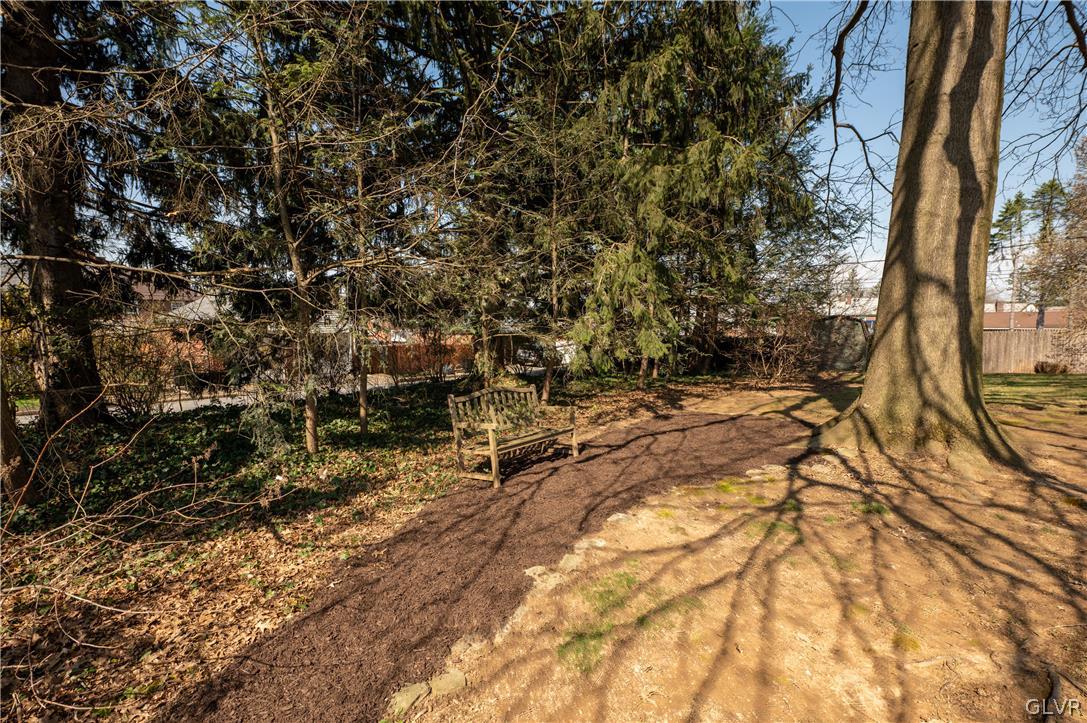 719 14th Avenue Bethlehem, PA 18018 - Photo 27 of 33 a view of a yard with a tree