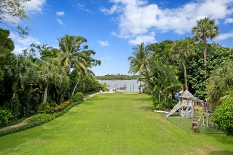 a view of a big yard with plants and a large tree