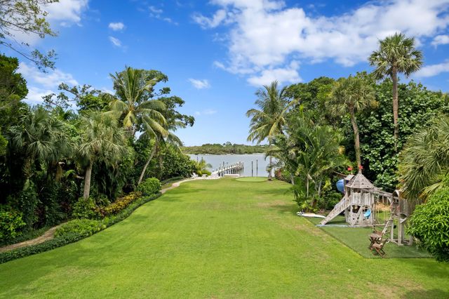 a view of a big yard with plants and a large tree