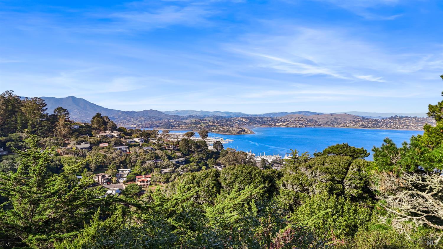 102 Cloud View Road Sausalito, CA 94965 - Photo 46 of 51