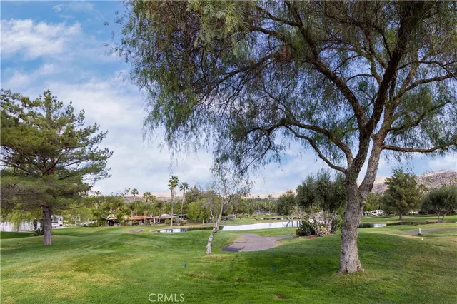 a view of green field with trees around