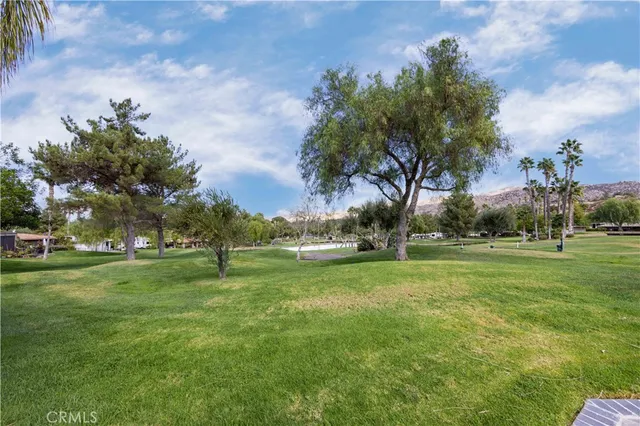 a view of a park and trees