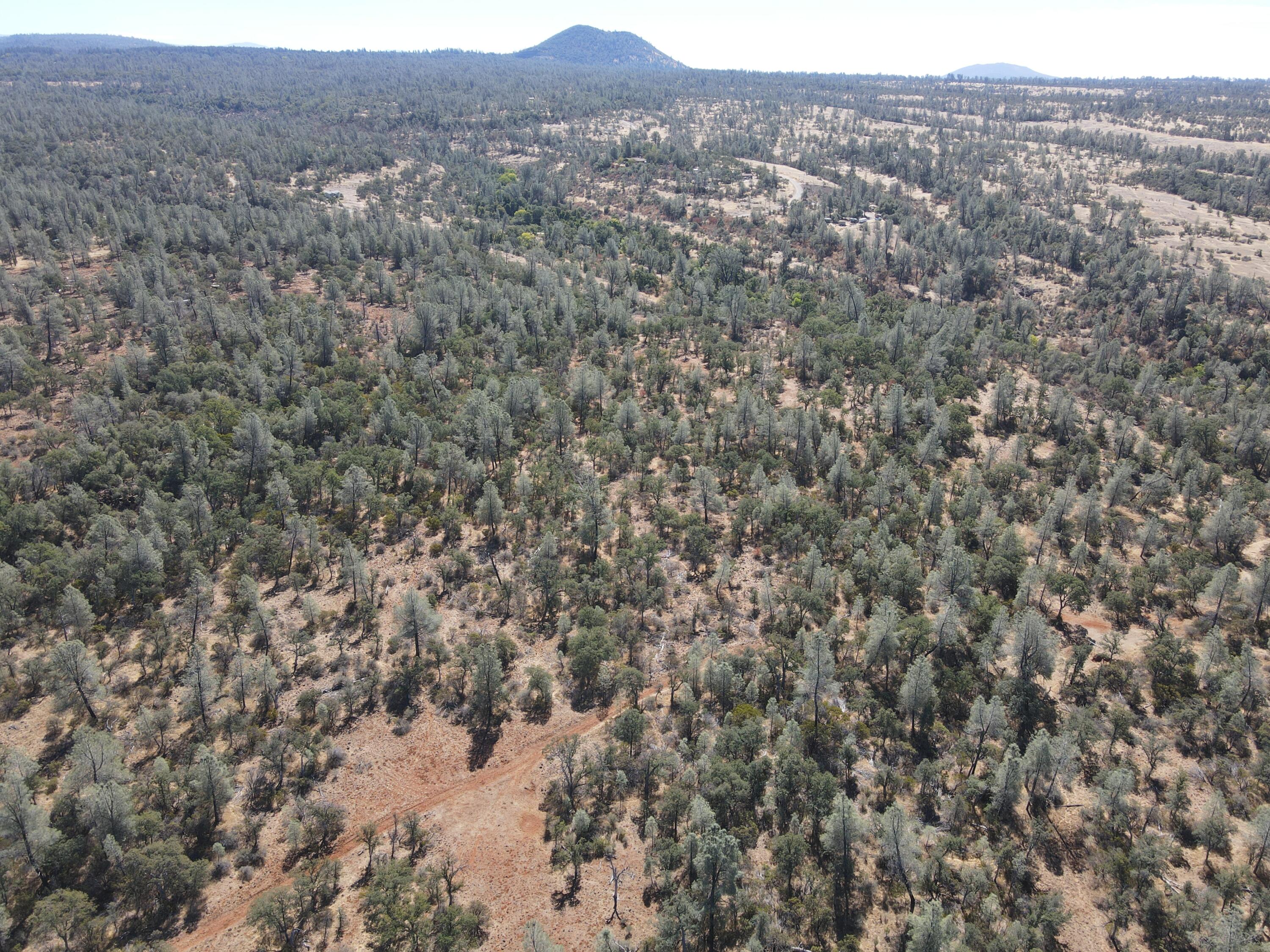 Nsa Dersch Road Shingletown, CA 96088 - Photo 56 of 56 DJI_0678