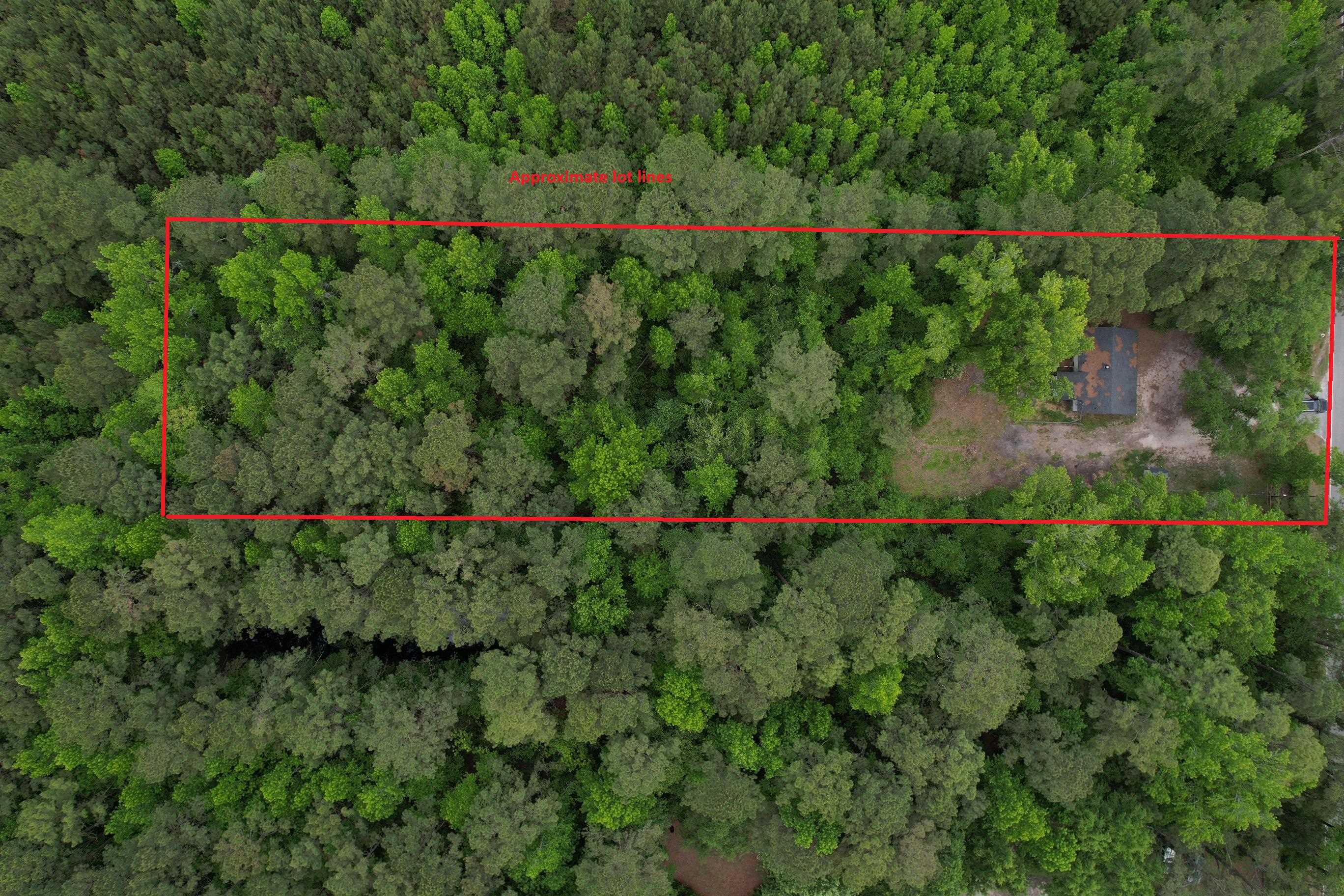 1487 Tory Hill Road Loris, SC 29569 - Photo 9 of 12