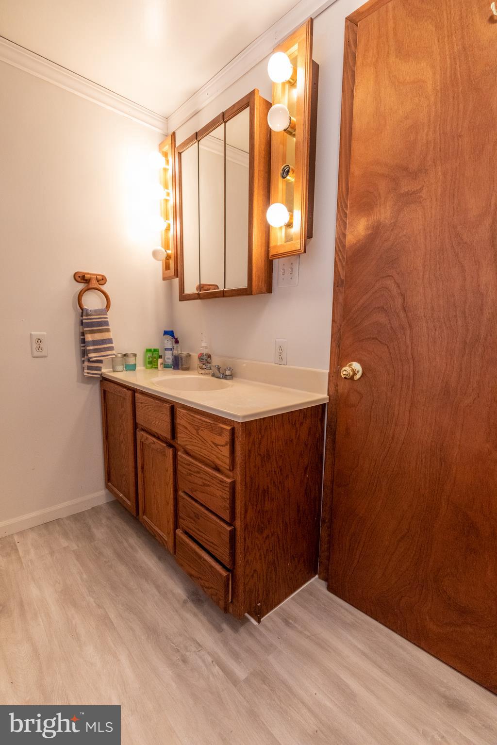 60 Policeman Club Road Falling Waters, WV 25419 - Photo 12 of 32 Extended single bowl vanity allows tons of storage