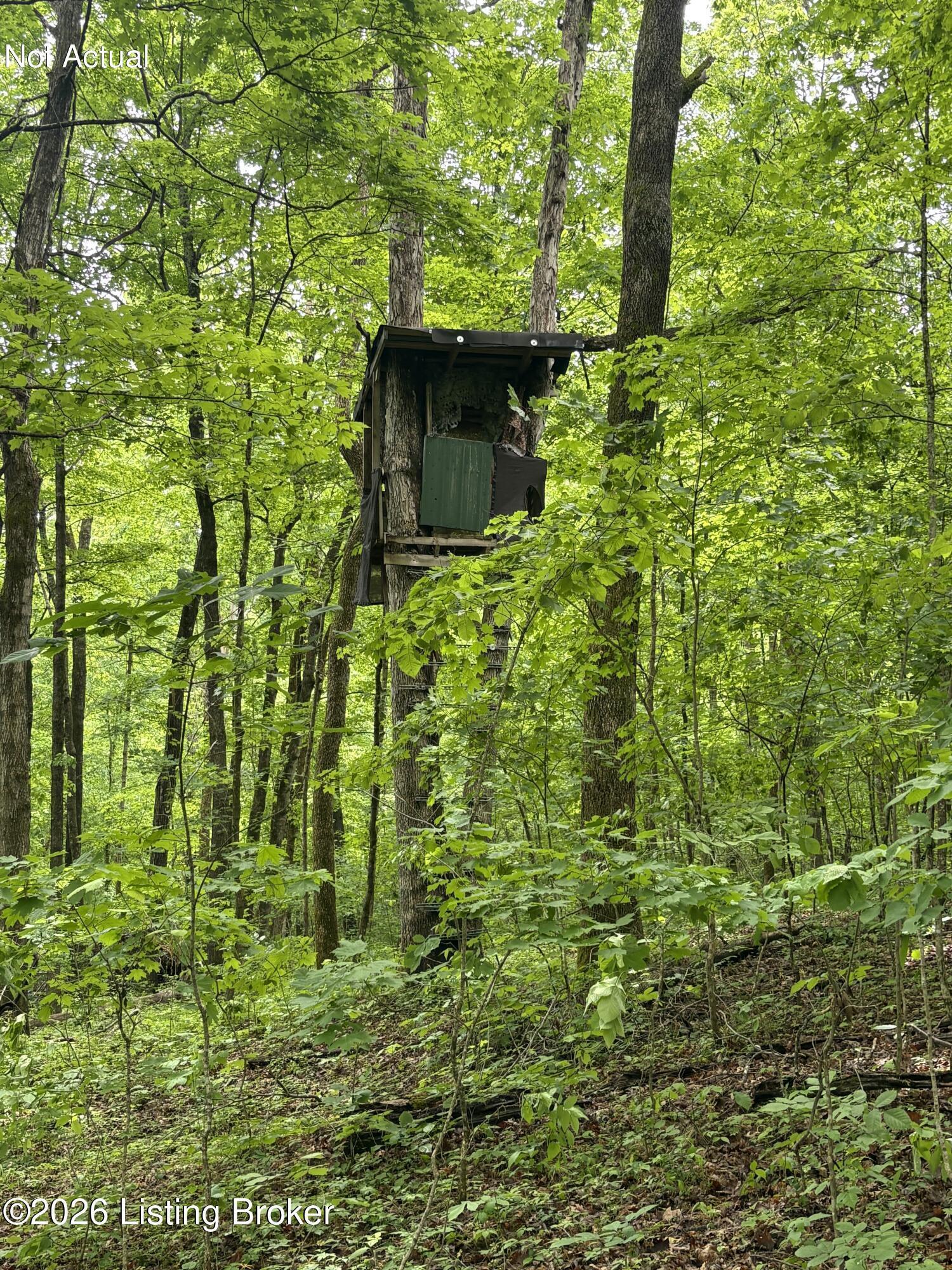 280 Oolite Road Battletown, KY 40104 - Photo 37 of 42 37